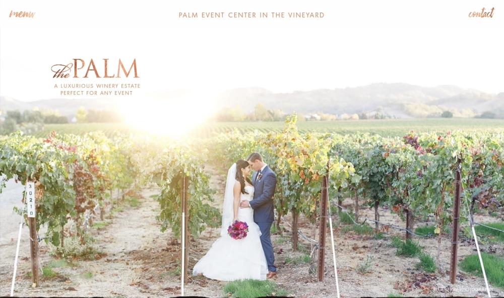 Couple embracing in vineyard at Palm Event Center, showcasing the romantic setting for weddings and events, with lush grapevines and scenic hills in the background.