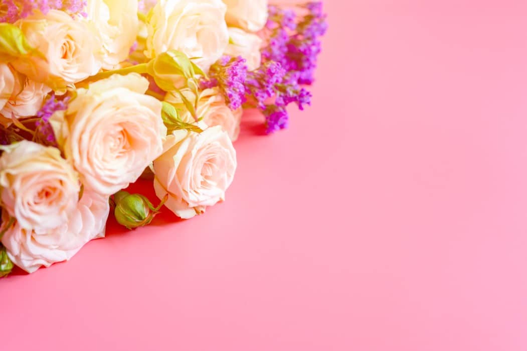 Bouquet of cream roses and bright purple flowers on a pink background, ideal for vibrant wedding color schemes.