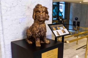 Bronze statue of Buster Posey Presutti, the Canine Operating Officer at Hotel Nikko, with plaque detailing the tradition of rubbing his nose for good luck, set in a marble lobby.