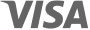 Visa logo representing branded activations and corporate events.