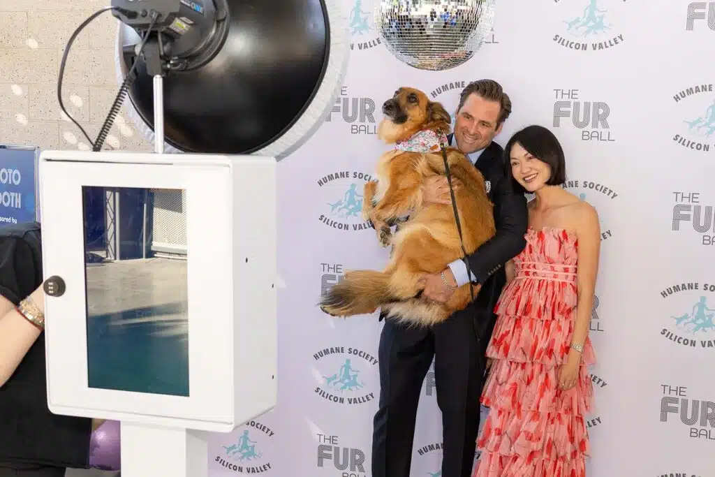 Couple posing with a dog in front of a photo booth at The Fur Ball event, featuring a disco ball and Humane Society branding, highlighting engagement at corporate and charitable gatherings.